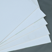 Panel de Techo de Yeso con Revestimiento de PVC Personalizable de Primera Calidad, con Reverso de Lámina de Aluminio, Resistente al Fuego, a la Humedad y al Agua