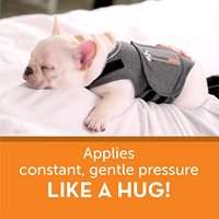 Veste anti-anxiété de luxe pour chien, réglable, douce, premium, anti-évasion, pliable, pour apaiser les animaux de compagnie - Vente chaude transfrontalière directe usine