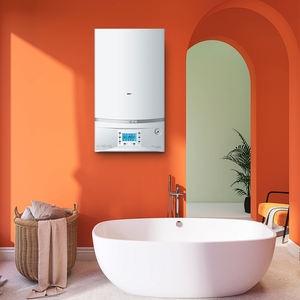 20kw 24kw 28kw 30kw 32kw Chaudières à gaz murales suspendues <span class=keywords><strong>Chauffage</strong></span> GPL Chauffe-eau à gaz <span class=keywords><strong>propane</strong></span> sans réservoir Chaudière à gaz mixte - Product Image 2