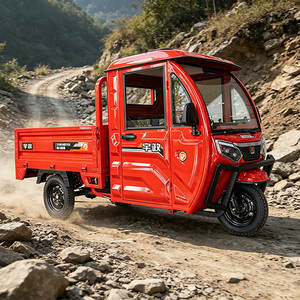 Tricycle cargo électrique à trois <span class=keywords><strong>roues</strong></span>, carrosserie fermée, 1000W, vélo électrique puissant - Product Image 3
