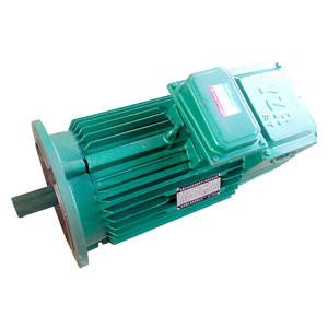 Motore per Gru a Torre Ytlej112l 954h2 120 4f2, Unità Motore di Rotazione/Swing Q235B/Q345B 11kw 2-50 Tonnellate - Product Image 6