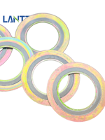 Joint plat en graphite enroulé en spirale de forme annulaire en acier inoxydable haute résistance résistant aux hautes températures, épaisseur 2 mm