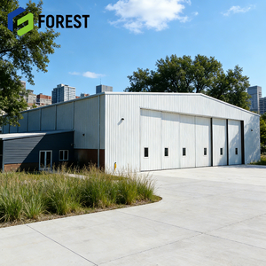 Hangar de Aviones de Estructura de Acero Prefabricado de Alta Resistencia, Acero Q355B para Aviación, Suministro Global - Product Image 1