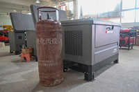 Générateur bi-carburant 15-30 KVA 4 cylindres, essence/gaz naturel, faible bruit, ATS, démarrage automatique, châssis en acier robuste, directement de l'usine