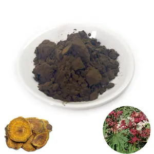 Radix et rhizoma rhei Extract Rhubarb Root Extract powder 5:1\10:1\ 20:1 Rheum Palmatum Extract Chrysophanol