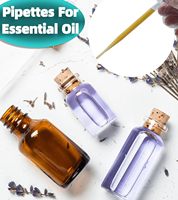 Autres fournitures de laboratoire : Pipette en plastique jetable à pointe unique, monocanal, volume réglable 1/2/3 ml, pour usage en cosmétiques, maquillage et laboratoire
