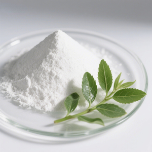 Extrait de King of Bitters en poudre Andrographis Paniculata Qualité Comprimable Fabricant en Gros - Product Image 6