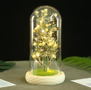 AYOYO OEM Роза для Дня матери стеклянный купол освещение Роза подарок матери цветок подарочная коробка - Product Image 5