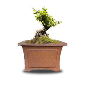 Mini pots à plantes en céramique d'intérieur, style Yi Xing, sculptés à la main, en forme de souche d'arbre, pour jardin, pot à fleurs, cuits au <span class=keywords><strong>bois</strong></span>, drainage respirant - Product Image 1