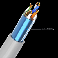 Câble réseau Ethernet CAT5 double blindage 100m PVC Cuivre sans oxygène Paire torsadée à huit conducteurs Surveillance domestique Haut débit
