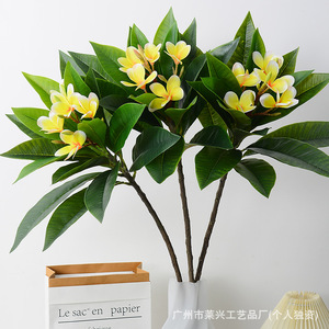 Fleur artificielle de frangipanier Laixing en soie et PVC souple, toucher réel, pour décoration maison et mariage - Product Image 3