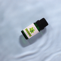 Vente en gros Ensemble d'huiles de massage corporel bio pures Huile essentielle d'arbre à thé lavande menthe poivrée de 30ml
