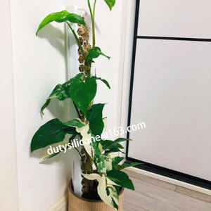 เสาพลาสติกสำหรับปีนเขา,เสาสำหรับต่อพืชในร่ม - Product Image 2