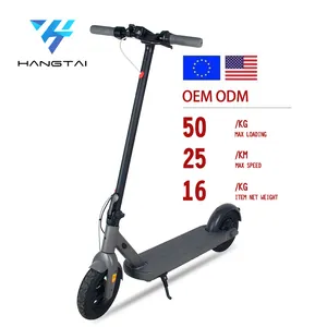 High Quality 2 Wheel 750w Powerful Adult Scooter Removable Battery Foldable Electric Scooter With Side Blue Light