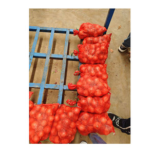 Cebolla Roja China fresca al por mayor Precio barato Importación Exportación Cebolla orgánica fresca y de calidad - Product Image 2