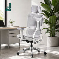 Chaise de bureau ergonomique haut de gamme à dossier haut et entièrement en maille, avec support dorsal en alliage d'aluminium argenté et accoudoirs 5D modernes et réglables