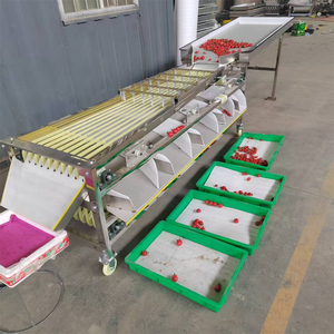 Máquina Automática de Clasificación de Frutas por Tamaño, para Tomate Cherry, Naranja y Kumquat - Product Image 4