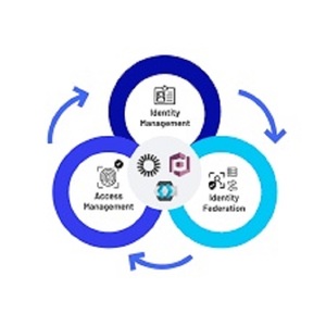 ซอฟต์แวร์แอปพลิเคชันจัดการการเข้าถึงข้อมูล (IAM) สำหรับ Android, Linux, MAC สำหรับอินเทอร์เน็ตมือถือ รวมถึงเซิร์ฟเวอร์ดิจิทัลและสต็อกดิจิทัล - Product Image 1