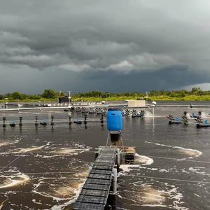 1.5mm Hdpe Geomembrana para Pond Liner e Tanques de Água com Poliolefina Termoplástica Tpo Geomembranas - Product Image 5