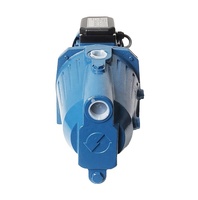 Pompa Air Jet Self-Priming 1 HP 60L/Menit 110V/220V Tekanan Tinggi Outlet 1 Inci