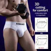 Nouvelles culottes pour hommes en nylon de haute qualité, couleur unie, grande taille, sous-vêtements pour adultes avec taille mi-haute, ceinture élastique respirante, ajustement confortable