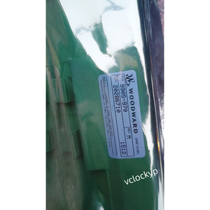 1 Módulo PLC WOODWARD 9905-969 NUEVO, Envío Rápido por DHL/FedEX - Product Image 5