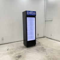 Réfrigérateur commercial vertical pour boissons, avec porte vitrée, pour supermarché et restaurant, pour la présentation de bouteilles de bière