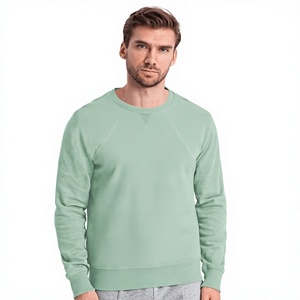 Pull en maille à col rond vert menthe pour homme, coupe classique, couleur unie, sweat-shirt décontracté, vêtement d'automne - Product Image 1