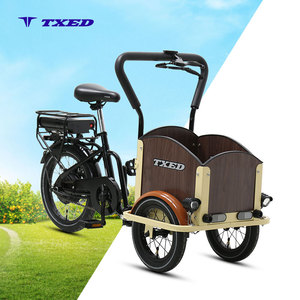 Vélo cargo électrique pour enfants TXED Premium à 3 roues, batterie rechargeable 24V, tricycle utilitaire robuste pour jeunes enfants, conduite sécurisée - Product Image 1