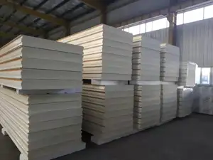 Sandwich Panels Pir Cold Room Panels Metal School Modern RAL Color 1000mm Pu