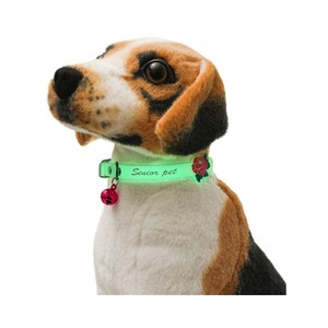 Collier lumineux pour chien avec clochette pour les promenades nocturnes et les jeux au parc - Product Image 2