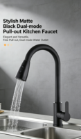 Robinet de cuisine moderne en acier inoxydable avec douchette extractible pour projets de logement locatif à petit budget