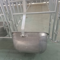 Cage de maternité pour truies, utilisée en élevage porcin, à vendre, avec plancher galvanisé