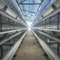 Nouveau système de cages en batterie de type H pour poulets de chair et poulettes pondeuses, poulailler automatique pour poussins d'un jour, galvanisé à chaud, 15-20