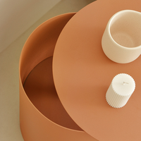Table basse créative en métal, table de chevet en acier, table d'appoint moderne et minimaliste pour canapé, étagère d'angle de rangement pour salon et chambre