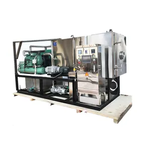 China Fruit Vegetable Meat Freeze Dry Vacuum lyophilizer Fruit Freeze Drying Machine Food Freeze Dryer industrial