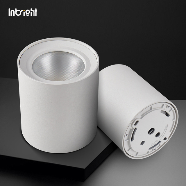Ceiling LED Downlight 15W 30W 50W Surface Mount Downlight Black White IP65 CCT Smart Down Light