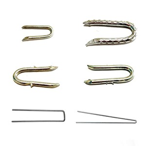 Clous en acier galvanisé de type U / <span class=keywords><strong>Agrafe</strong></span> de clôture à tige lisse <span class=keywords><strong>pour</strong></span> poteaux en bois, qualité industrielle, <span class=keywords><strong>fil</strong></span> barbelé <span class=keywords><strong>pour</strong></span> clôture <span class=keywords><strong>électrique</strong></span> - Product Image 5