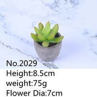 Plantes succulentes bonsaï Cactus en pot, fausses plantes vertes pour décoration de jardin, maison