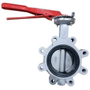 Lever Operation Lug Butterfly Valve API609 4in Class150 Cast Iron CF8M SS316 Thread Hole Butterfly Valve Water Gas Medium