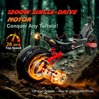 Trottinette Électrique Pliable 250W 25km/h avec Batterie Lithium 48V13Ah – Scooter Aquatique Électrique Tout-Terrain pour Solution Dernier Mille
