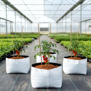 Contenitore Pieghevole Durevole per Coltivazione di Fragole Bianche, Vaso <span class=keywords><strong>da</strong></span> Giardino Impermeabile in Plastica per <span class=keywords><strong>Piante</strong></span> - Product Image 1