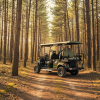 Voiturette de golf électrique tout-terrain personnalisée Rainbow 48V, certifiée CE, freins à disque, 6 places, 30 km/h, autonomie 70-90 km, pour clubs