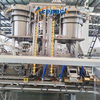Machine d'emballage automatique à grande vitesse pour sachets préformés à bec verseur, pour jus liquide, purée, sachets debout, remplissage de jus de fruits, emballage de sachets