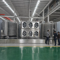 Nouvelle machine de congélation rapide automatique de haute qualité de marque RF, congélateur tunnel IQF pour fraises, équipement de congélation par soufflage d'air, garantie 1 an