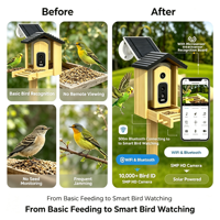 Mangeoire à oiseaux intelligente avec caméra de reconnaissance intégrée, marque privée OEM, pour l'observation des oiseaux en plein air, dispositif d'alimentation pour oiseaux sauvages