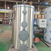 Caldera de Vapor de Pellets de Biomasa de Leña y Carbón Serie YG LHG para Máquina de Pellets de Biomasa y Máquina de Planchado Industrial a Vapor