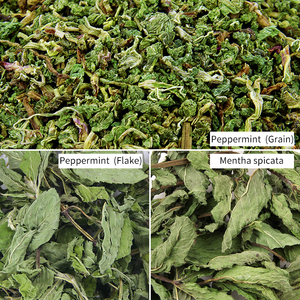 Té de Hojas de Menta Secas al por Mayor, Bolsas de Té de Menta Seca a Granel, Hierbas Secas, Té de Menta de Hoja Verde - Product Image 4