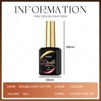 JTING Effet Unique Nouveauté Vernis Gel Œil de Chat Double Lumière 6 Couleurs Double Brillance Magnétique Vernis Gel Œil de Chat Bouteille Unique OEM