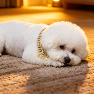 हाइप शैली लक्जरी क्रिस्टल पालतू हार कॉलर कुत्तों के लिए मिश्र धातु बकल कस्टम पत्र के साथ - Product Image 3